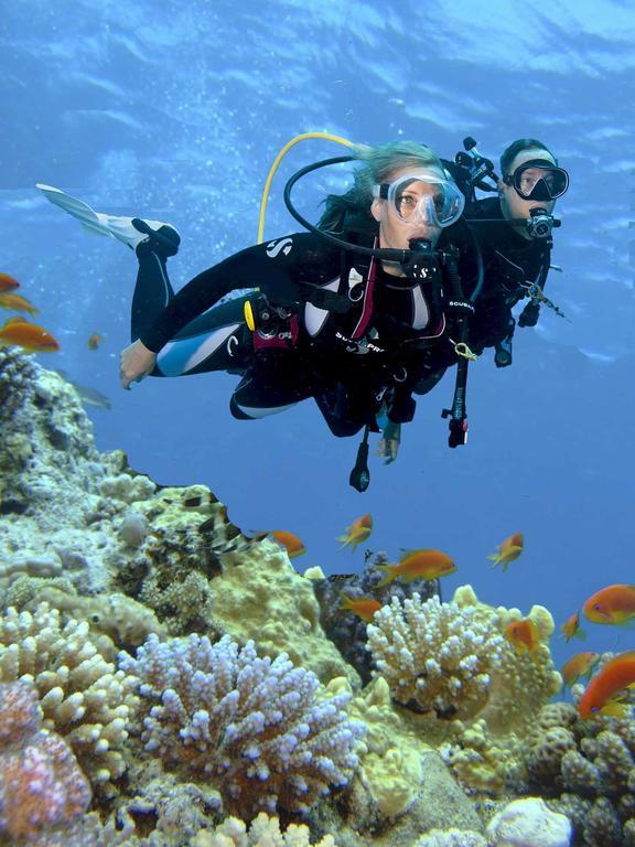 PADI Open Water Duikcursus